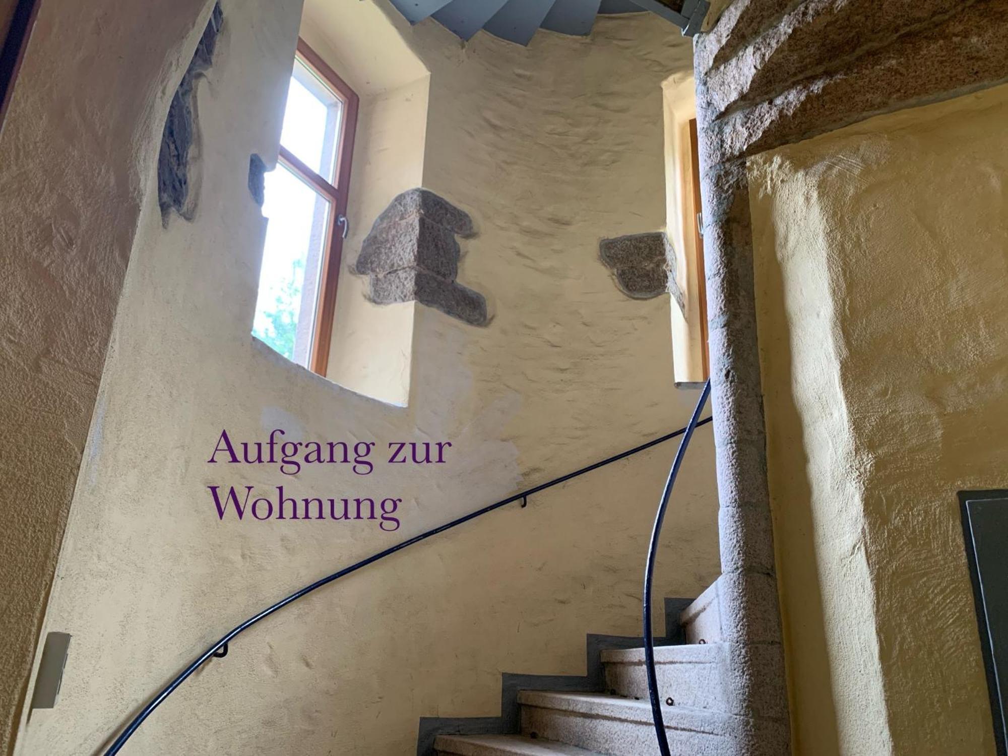 Burg Aue- Erzglueck - Familien - Im Gruenen - Zentral Apartment Aue (Saxony)
